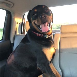 Meet your Posher, Allison